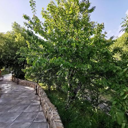 Villa Marel Trefacio Ngoại thất bức ảnh