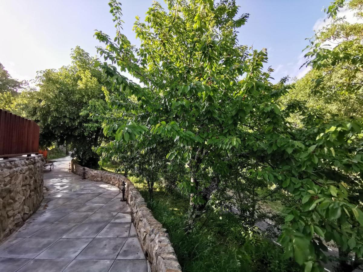 Villa Marel Trefacio Ngoại thất bức ảnh